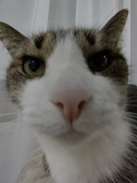 Андрей Красный