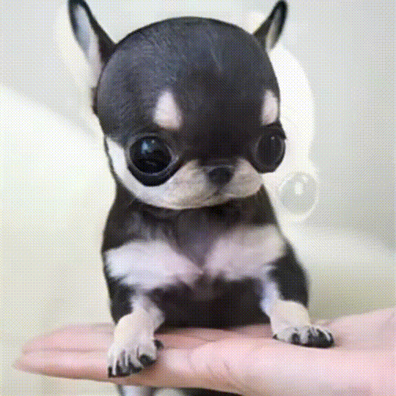 -̥̥̥̥̥̥̥̥̥̥̥̥̥̥̥̥̥̥̥̥̥̥̥̥̥᷄ ̴̸̷̖̜̙̲͚͉̱͈͙ ︣̀̄̃ ︣͌̾͋̀ͫ͜͠͞͝_̴̸̷̖…