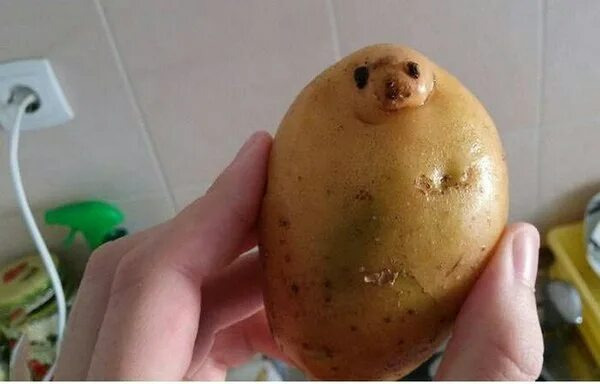 Фотографии со стены