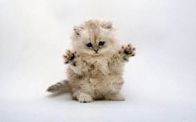 Катя Кусторез