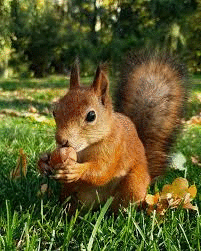 Фотографии со страницы