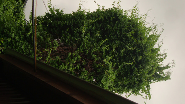 Фотографии со стены