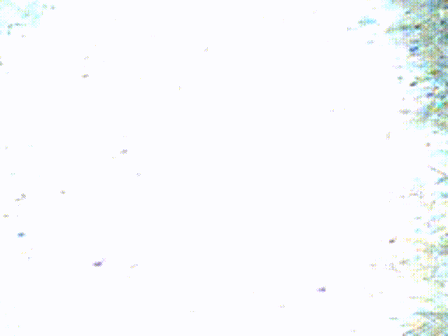 Летняя веселушка