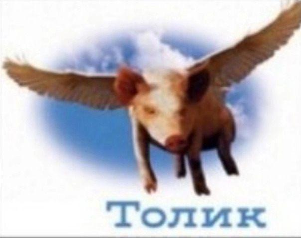 Фотографии со страницы