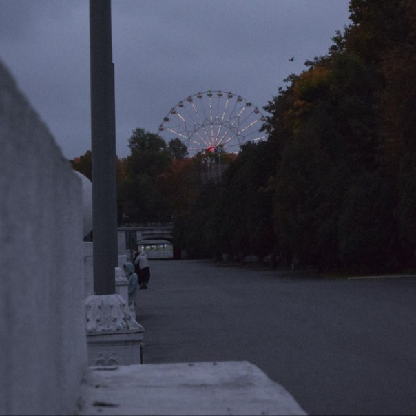 Никита Файзетвинов