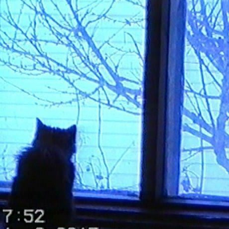 Илюх Хромов