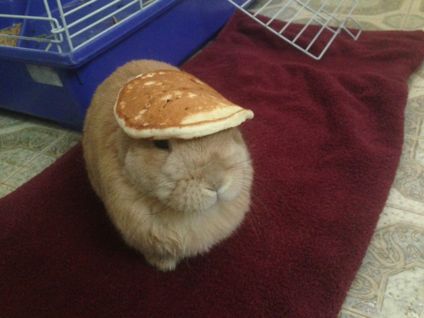 Абубачир Трахов