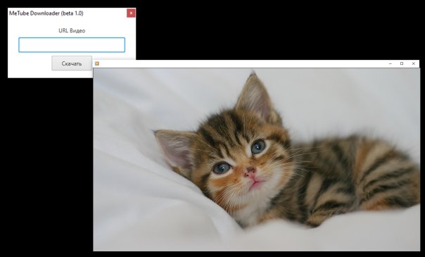 Что это?
А это MeTube Downloader!
...