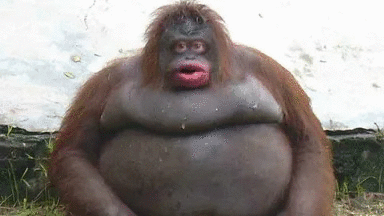 Игорь Лимонов