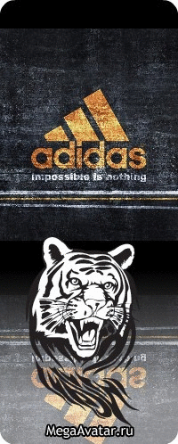 Костик Позззитифффчик