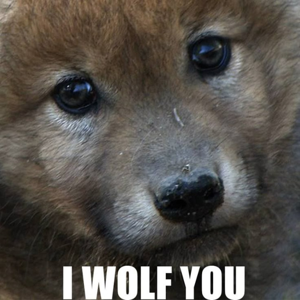 Виктория Маковеева