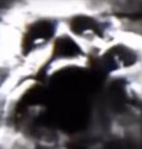 Стасямба Подоконников