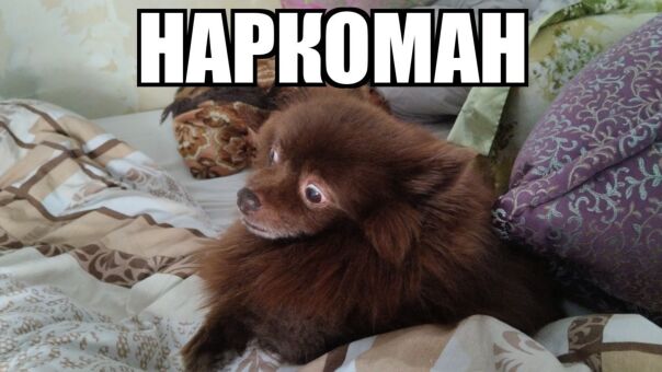 Фотографии со стены