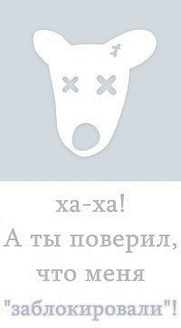 Фотографии со страницы