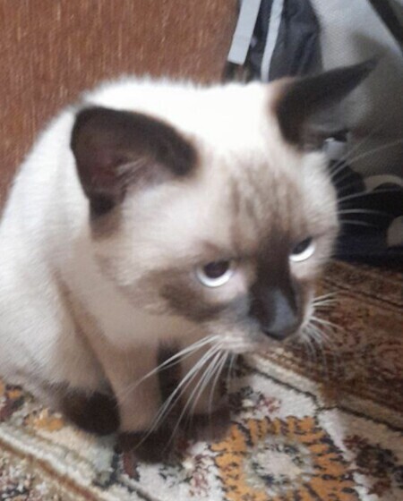 Павел Евтехов