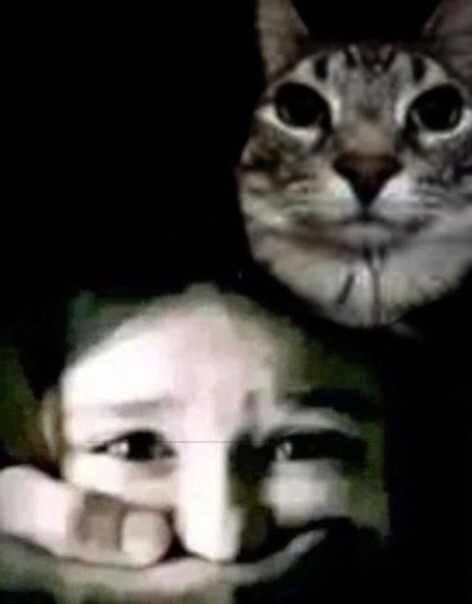 Фотографии со страницы