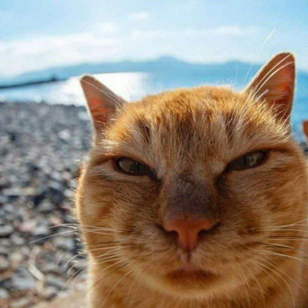 Александр Иванов