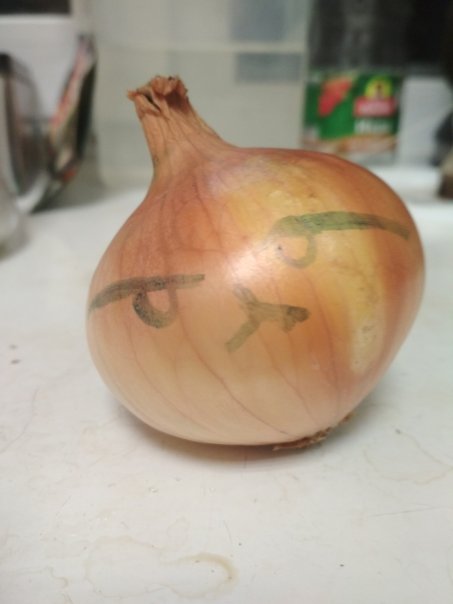 Мою стену охраняет...


Гоша...