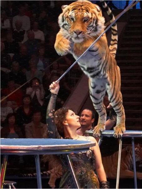 у сильной и независимой женщины отсу...