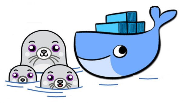 Фотографии со стены