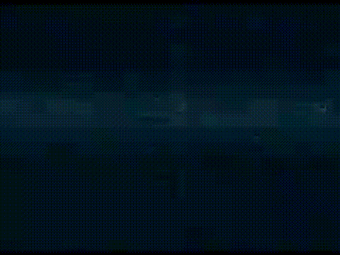 medusa'scream - homevideo (2007)