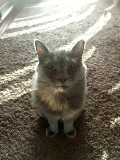 Павло Штанішкін