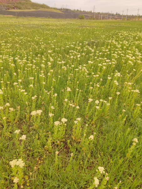 Фотографии со стены