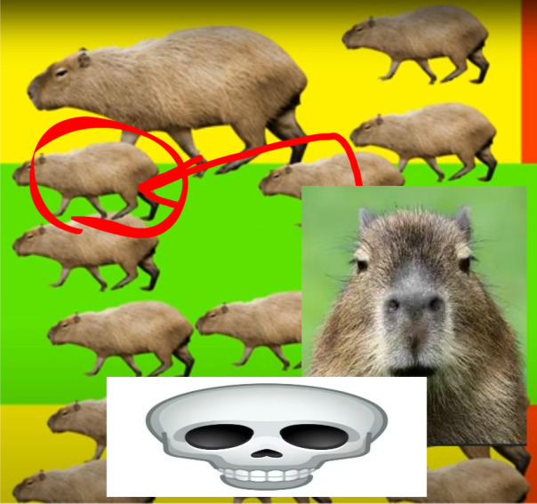 Фотографии со стены