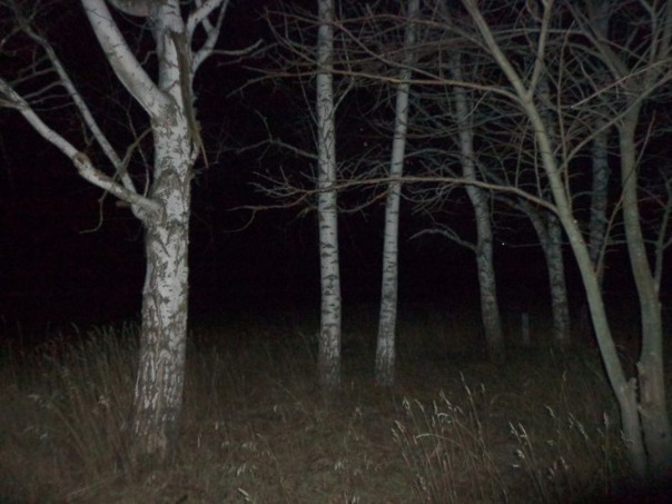 Profile backdrop (system)...