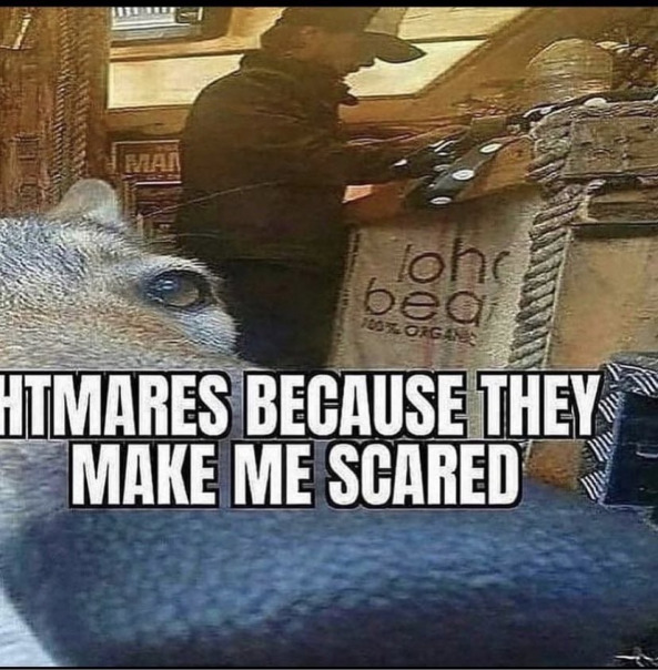 Сая Онигиревна