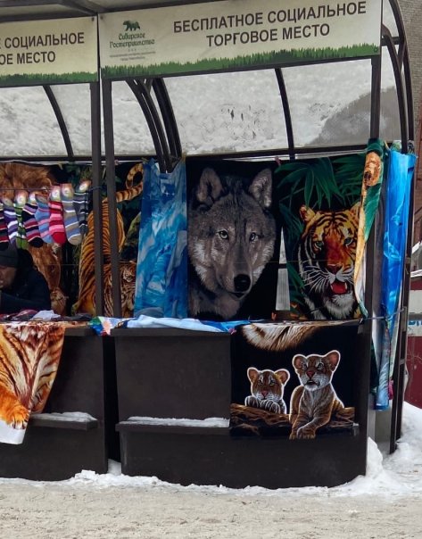 Волк слабее Льва и Тигра, но вытирае...