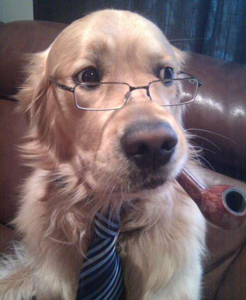 Владислав Султанов