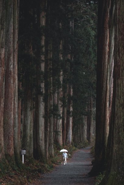 Подход к храму Тогакуси в префектуре...