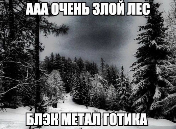 Фотографии со стены