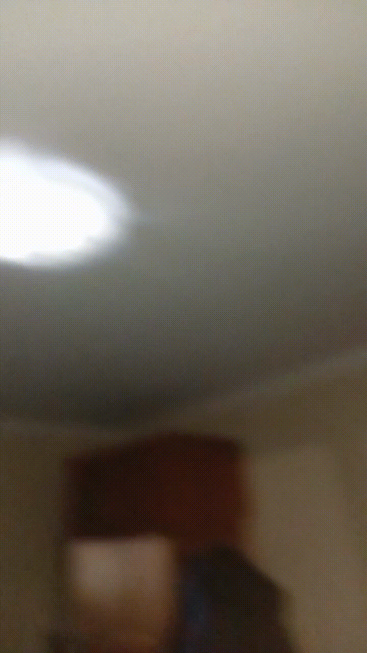 Летучая мышь у Илюхи Плюхи 