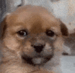 Марс Пермский