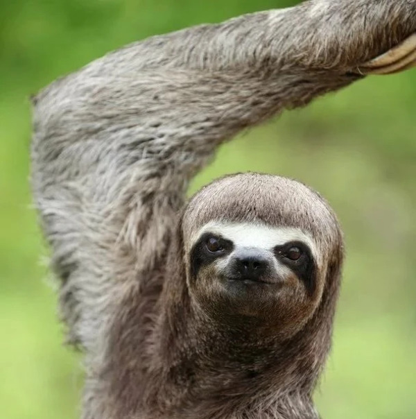 Алексей Попов