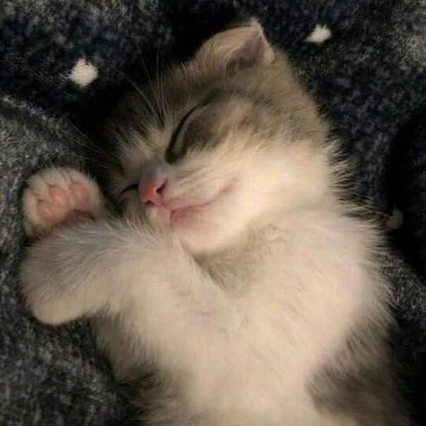 Дмитрий Username