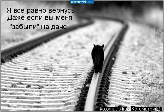 Фотографии со стены