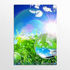 Миша Латипов