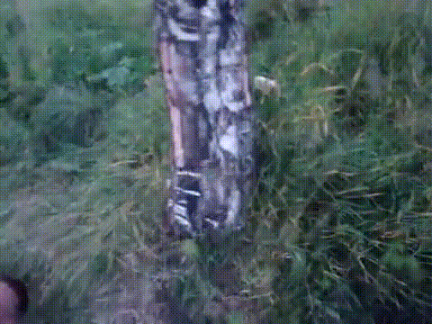 золотые голоса россии 2009