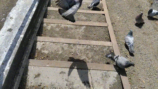 VID_20250419_123313 [v2]