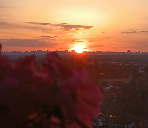 Фотографии со стены