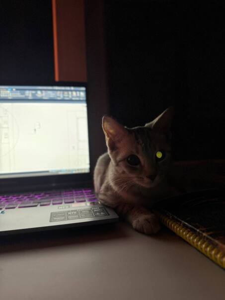 Фотографии со стены