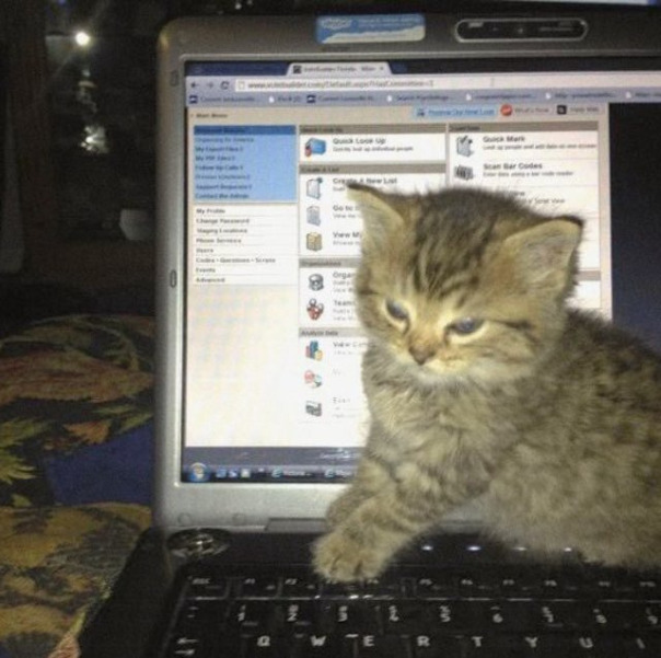 Яфанат Данииламысливца