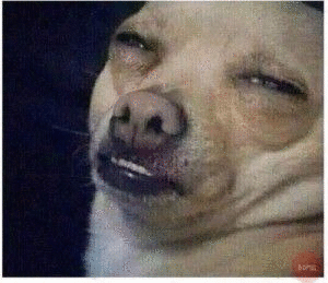 Дмитрий Иванов