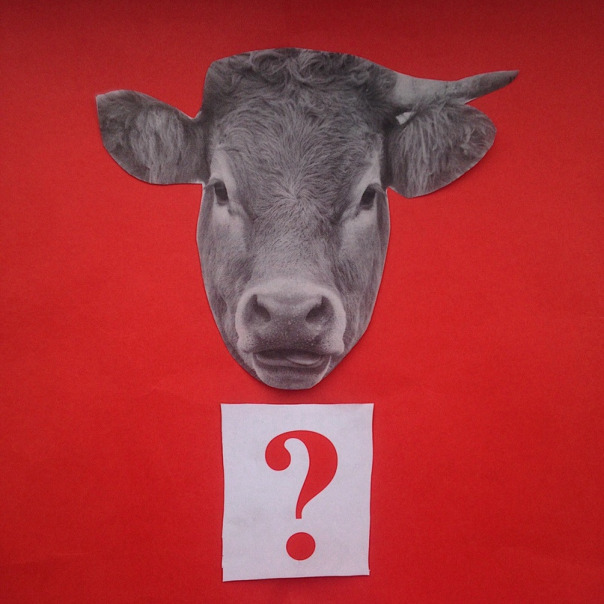 Profile backdrop (system)...