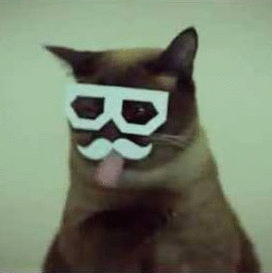 Фотографии со страницы