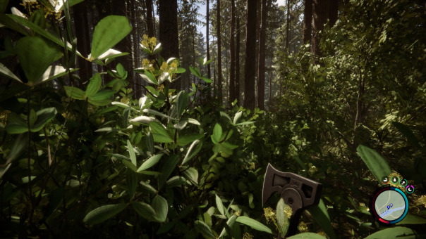 Фотографии со стены