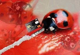 Фотографии со стены